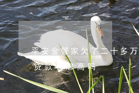 平安金管家欠了二十多万的网贷(平安金管家贷款利息高吗)
