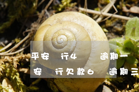平安銀行4萬塊逾期一個(gè)月利息(平安銀行欠款6萬逾期三月真的會(huì)被起訴嗎?)