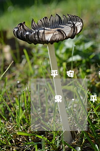 平安銀行信用卡不還會(huì)有什么后果-平安銀行信用卡不還會(huì)有什么后果呢