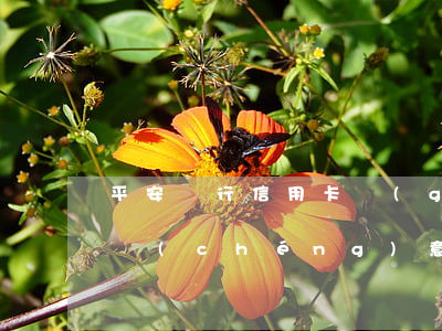 平安銀行信用卡個(gè)性化分期需要交誠(chéng)意金-平安銀行信用卡個(gè)性化分期需要交誠(chéng)意金嗎