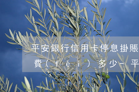 平安銀行信用卡停息掛賬分期手續(xù)費(fèi)多少-平安銀行信用卡停息掛賬分期手續(xù)費(fèi)多少錢