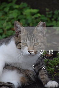 平安銀行信用卡協(xié)商還款沒法協(xié)商-平安銀行信用卡協(xié)商還款沒法協(xié)商怎么辦