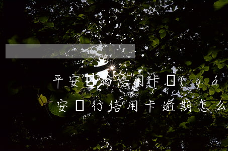 平安銀行信用卡嚴(yán)重逾期(中國平安銀行信用卡逾期怎么辦)