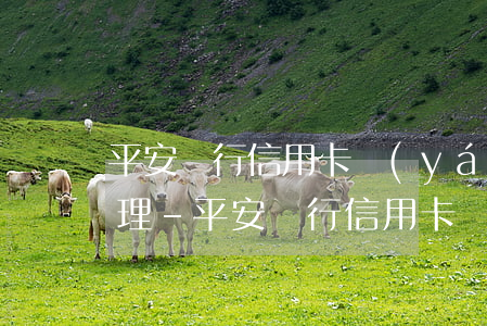 平安銀行信用卡嚴(yán)重逾期如何處理-平安銀行信用卡嚴(yán)重逾期如何處理呢