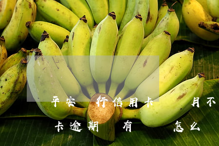 平安銀行信用卡幾個月不還(平安銀行的信用卡逾期沒有還會怎么樣)