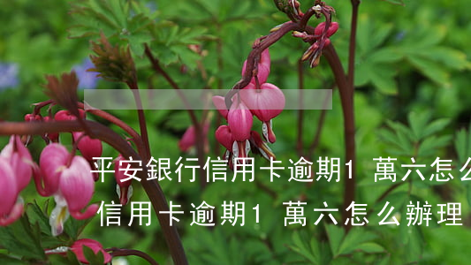 平安銀行信用卡逾期1萬六怎么辦(平安銀行信用卡逾期1萬六怎么辦理)