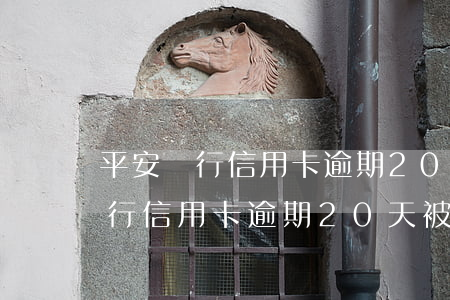 平安銀行信用卡逾期20天被控訴-平安銀行信用卡逾期20天被控訴怎么辦
