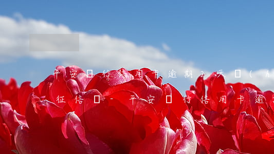 平安銀行信用卡逾期2天會(huì)影響征信嗎-平安銀行信用卡逾期2天會(huì)影響征信嗎