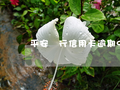 平安銀行信用卡逾期95511
