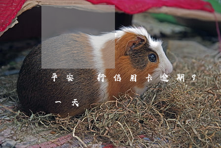 平安銀行信用卡逾期9個月(平安信用卡 逾期一天)