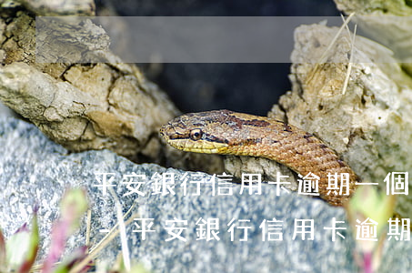 平安銀行信用卡逾期一個(gè)月沒減免-平安銀行信用卡逾期一個(gè)月沒減免利息