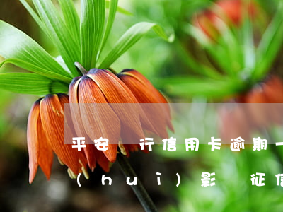 平安銀行信用卡逾期一天會(huì)不會(huì)影響征信-平安銀行信用卡逾期一天會(huì)不會(huì)影響征信
