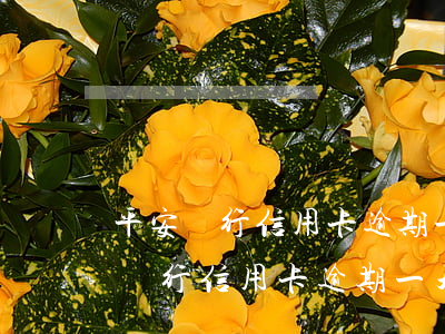 平安銀行信用卡逾期一天要多少利息-平安銀行信用卡逾期一天要多少利息呢