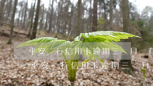 平安銀行信用卡逾期三個月會有什么后果-平安銀行信用卡逾期三個月會有什么后果嗎