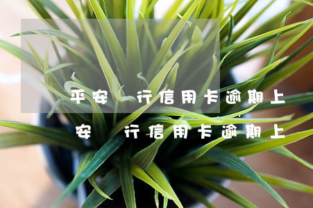 平安銀行信用卡逾期上門催收了怎么辦-平安銀行信用卡逾期上門催收了怎么辦啊