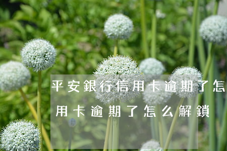 平安銀行信用卡逾期了怎么解鎖(平安銀行信用卡逾期了怎么解鎖)
