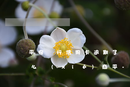 平安銀行信用卡逾期了無(wú)力償還怎么協(xié)商平-平安銀行的信用卡逾期沒(méi)有還會(huì)怎么樣