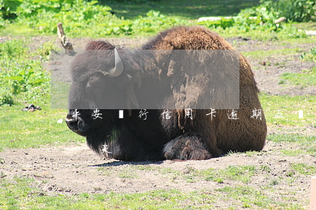 平安銀行信用卡逾期五萬多(平安信用卡 逾期一天)