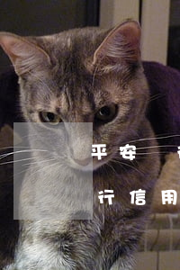 平安銀行信用卡逾期五萬多怎么辦-平安銀行信用卡逾期五萬多怎么辦啊