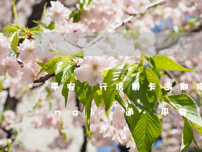 平安銀行信用卡逾期?？ê笤鯓由暾?qǐng)開通-平安銀行的信用卡逾期沒有還會(huì)怎么樣