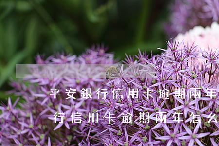 平安銀行信用卡逾期兩年怎么處理-平安銀行信用卡逾期兩年怎么處理的