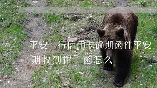平安銀行信用卡逾期函件(平安銀行信用卡逾期收到律師函怎么辦)