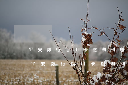 平安銀行信用卡逾期利息和滯納金怎么算-平安銀行信用卡逾期利息和滯納金怎么算的