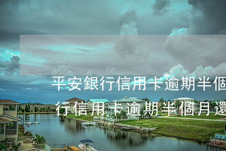 平安銀行信用卡逾期半個月還不上-平安銀行信用卡逾期半個月還不上怎么辦