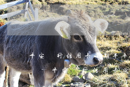 平安銀行信用卡逾期半年會(huì)怎么樣-平安銀行信用卡逾期半年會(huì)怎么樣嗎