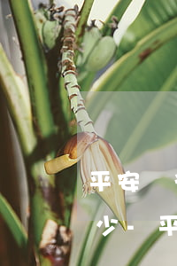 平安銀行信用卡逾期協(xié)商電話多少-平安銀行信用卡逾期協(xié)商電話多少號(hào)碼
