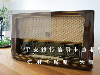 平安銀行信用卡逾期后多久才還-平安銀行信用卡逾期一天有沒有影響?