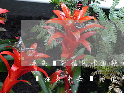 平安銀行信用卡逾期四萬會(huì)坐牢嗎(拖欠平安銀行信用卡9000多會(huì)被判刑嗎)