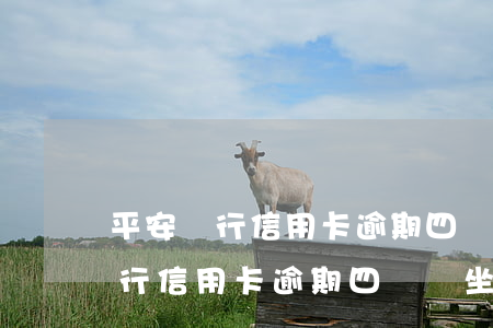 平安銀行信用卡逾期四萬會坐牢嗎-平安銀行信用卡逾期四萬會坐牢嗎知乎
