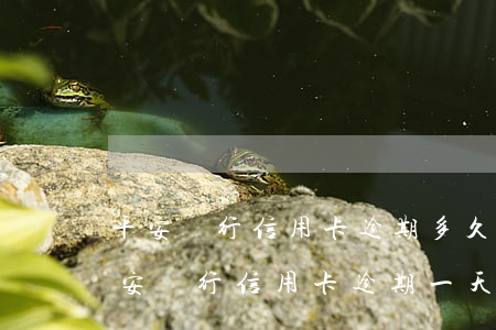 平安銀行信用卡逾期多久協(xié)商(平安銀行信用卡逾期一天有沒有影響?)