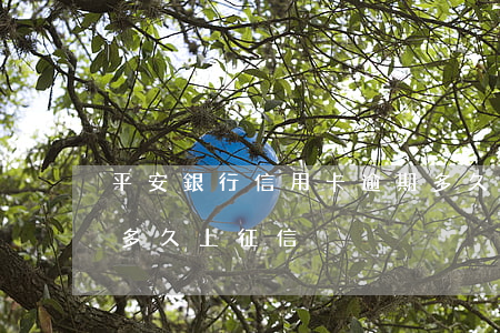 平安銀行信用卡逾期多久報征信(信用卡逾期多久上征信)