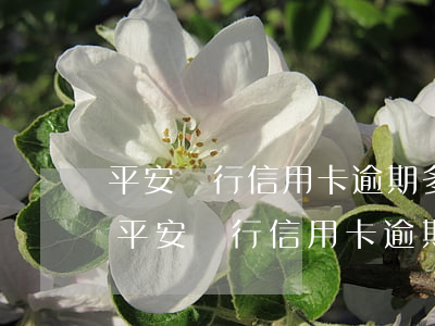 平安銀行信用卡逾期多久會影響征信記錄-平安銀行信用卡逾期多久會影響征信記錄
