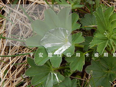 平安銀行信用卡逾期威脅恐嚇