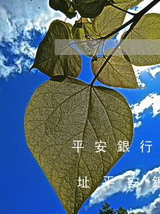 平安銀行信用卡逾期已調(diào)取地址(平安銀行信用卡逾期已調(diào)取地址怎么辦)