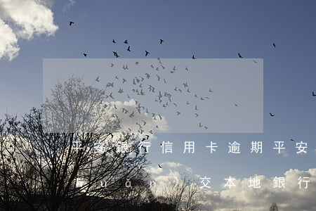 平安銀行信用卡 逾期（平安信用卡逾期轉(zhuǎn)交本地銀行）