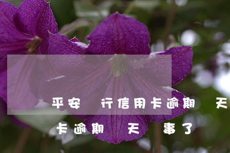 平安銀行信用卡逾期幾天沒事(平安銀行信用卡逾期幾天沒事了)