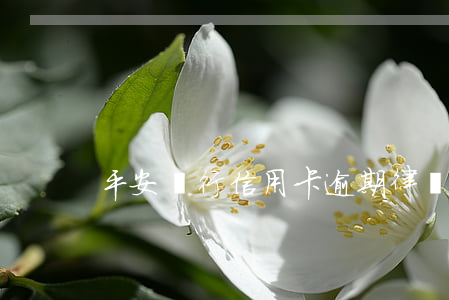 平安銀行信用卡逾期律師函