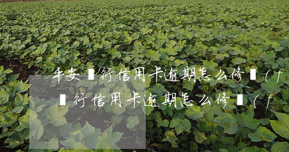 平安銀行信用卡逾期怎么修復(fù)(平安銀行信用卡逾期怎么修復(fù))