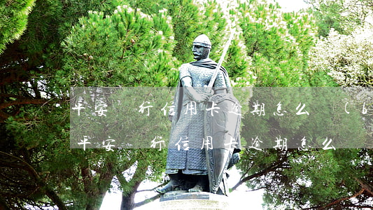 平安銀行信用卡逾期怎么報(bào)備-平安銀行信用卡逾期怎么報(bào)備征信