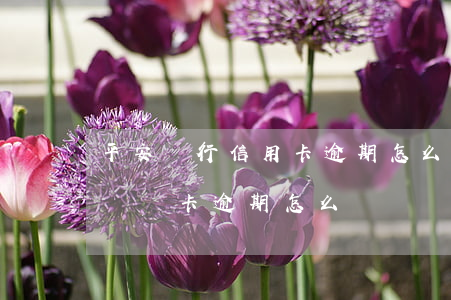 平安銀行信用卡逾期怎么恢復(fù)(平安貸貸卡逾期怎么辦)