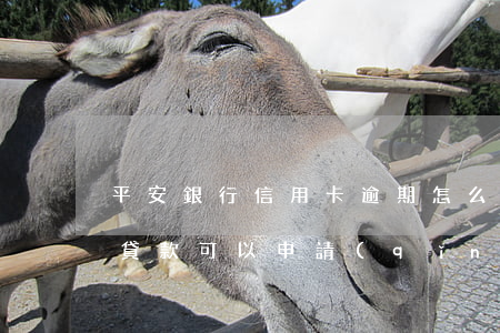平安銀行信用卡逾期怎么掛賬停息 平安銀行貸款可以申請(qǐng)停息掛賬嗎