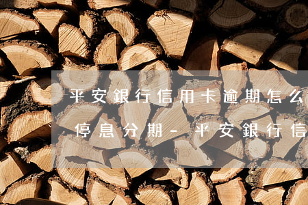 平安銀行信用卡逾期怎么申請(qǐng)停息分期-平安銀行信用卡逾期怎么申請(qǐng)停息分期還款