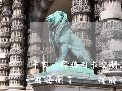 平安銀行信用卡逾期怎樣繳款-平安銀行信用逾期了凍結我的卡怎么去用