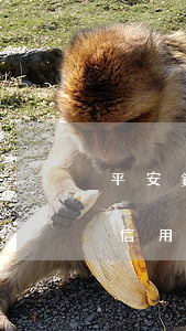 平安銀行信用卡逾期打通訊錄嗎-平安銀行信用卡逾期打通訊錄嗎會怎么樣