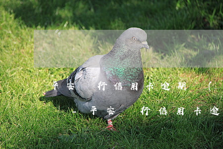 平安銀行信用卡逾期會(huì)直接上門嗎-平安銀行信用卡逾期會(huì)直接上門嗎知乎