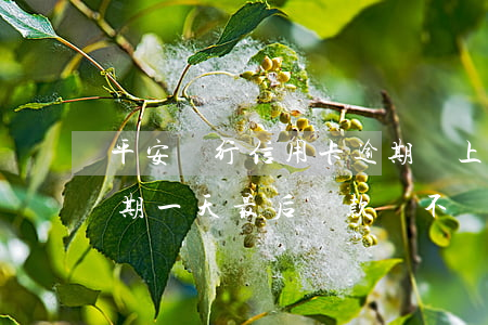 平安銀行信用卡逾期會上法院嗎(平安銀行逾期一天,最后還款會不會影響信用)